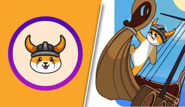 Floki Inu'yu Uçuşa Taşıyan Güç: Memecoin Rallisi 11 floki-inuyu-ucusa-tasiyan-guc-memecoin-rallisi