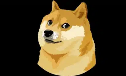 unlu-internet-fenomeni-kopek-kabosu-hayatini-kaybetti