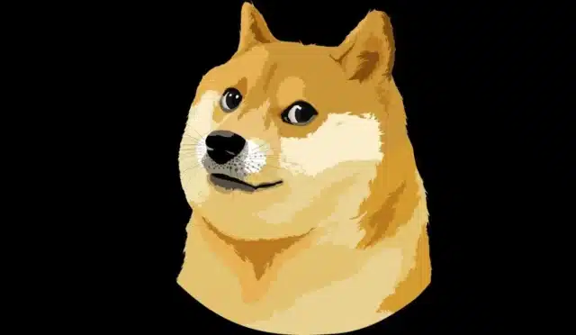 Dogecoin Fenomeni Köpek Kabosu Hayatını Kaybetti 7 unlu-internet-fenomeni-kopek-kabosu-hayatini-kaybetti