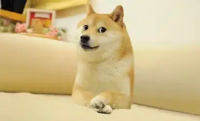 xrp-mi-doge-mi-2024te-hangi-kripto-para-daha-iyi-performans-gosterir