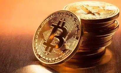 spot-bitcoin-etfleri-1-milyon-btcyi-asti