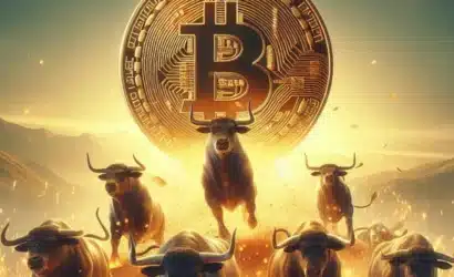 bitcoinde-sert-duzeltme-boga-piyasasi-devam-edecek-mi