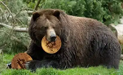 bitcoin piyasasında kritik dönem ayı sezonu kapıda mı