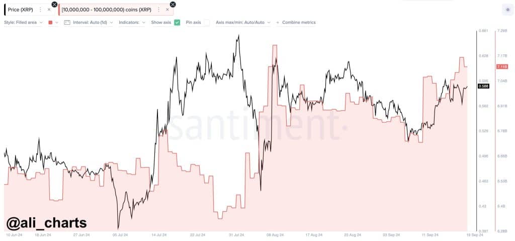 dogecoin (doge) i̇çin boğa dönemi yaklaşıyor