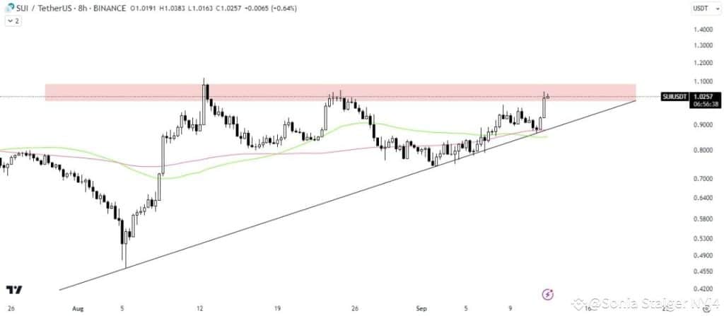 sui/usdt teknik analizi