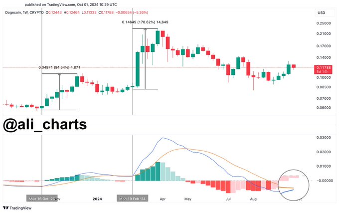 dogecoin (doge) i̇çin yeni boğa sinyali