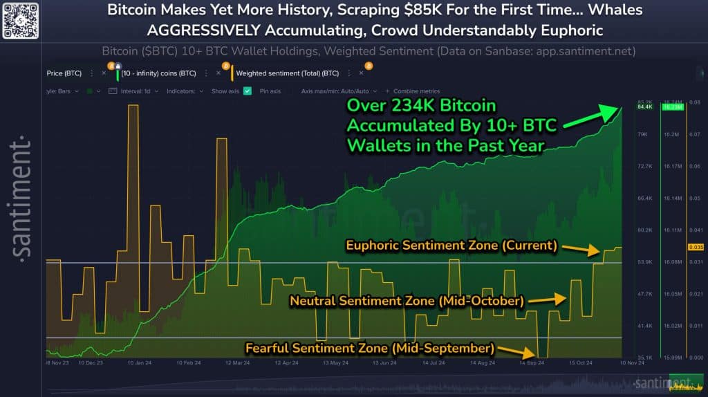 bitcoin fomo zirveye ulaşıyor