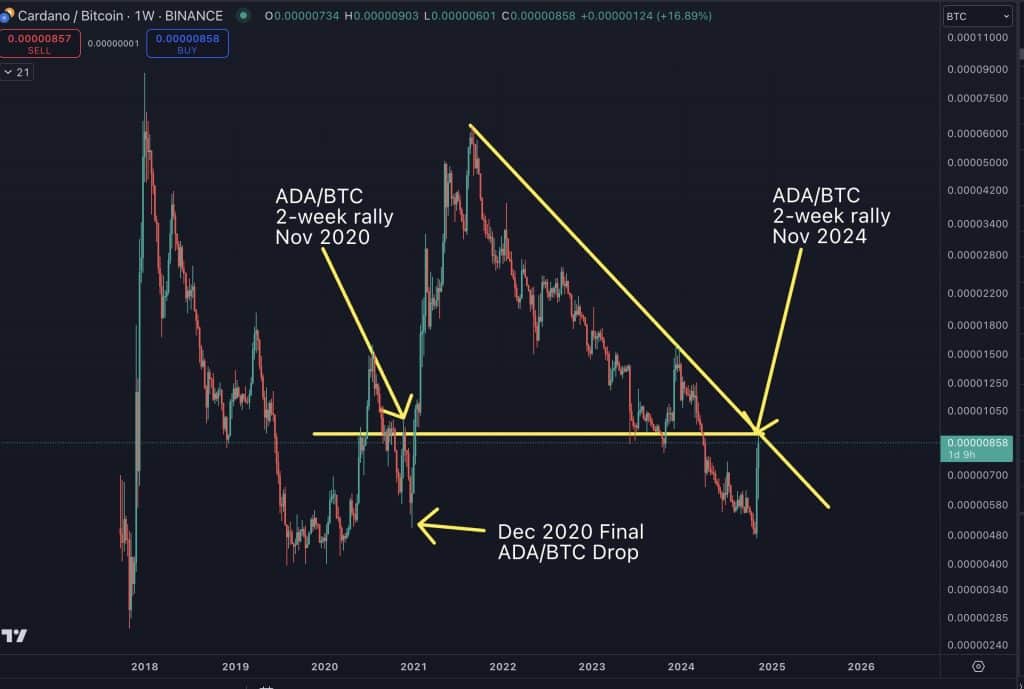 analist cowen, cardano i̇çin yeni bir düşüş uyarısında bulundu!