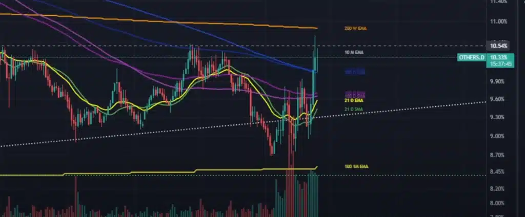 kripto analisti nicholas merten: altcoin sezonu başladı! 