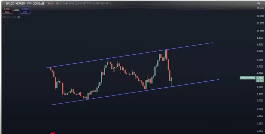 sui, xrp’yi geride bırakabilir mi? raoul pal’dan çarpıcı değerlendirme!