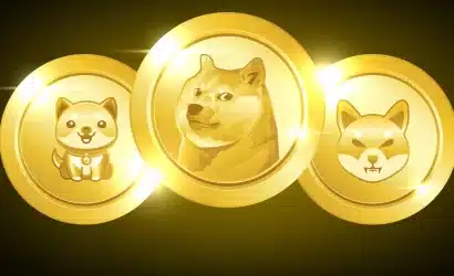 memecoin'lerden bitcoin, ethereum ve diğer büyük projelere yönelim artıyor: santiment analizi!