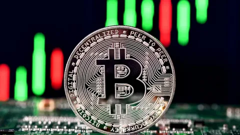 bitcoin rezerv varlık olamadı: montana meclisi tasarıyı reddetti!