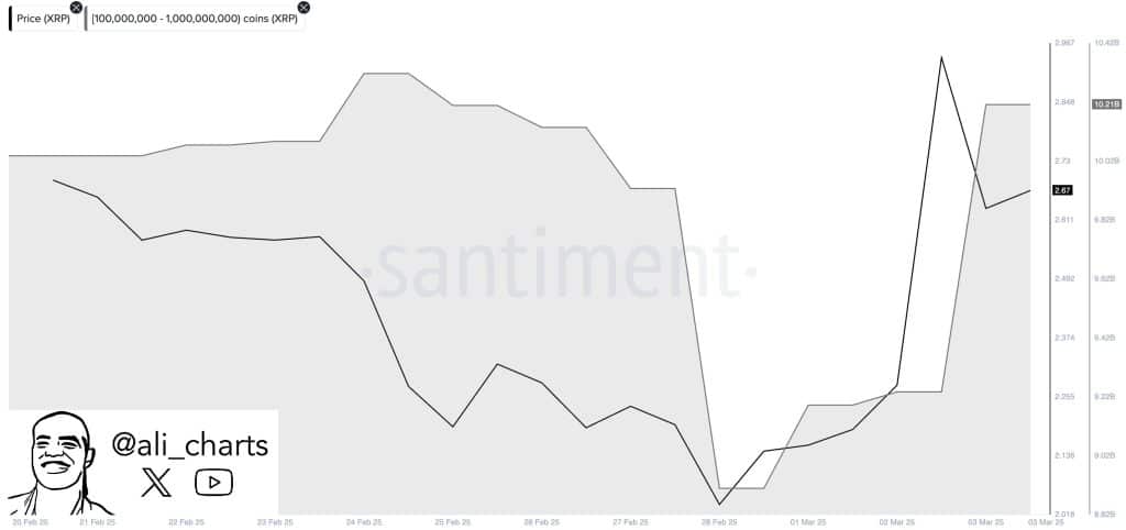 kripto balinalarından dev hamle: bir günde milyarlarca dolarlık xrp ve cardano topladılar!