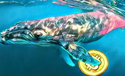 bitcoin’de 332 milyon dolarlık kısa pozisyon açan kripto balinası, avlanmasına rağmen kâr etti!