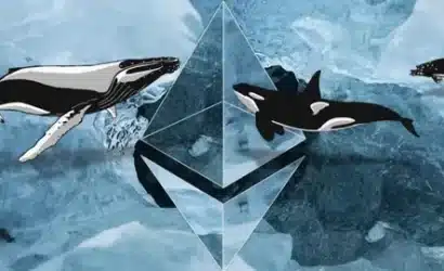 ethereum balinaları 24 saatte dev alım yaptı: 422 milyon dolarlık eth biriktirildi!