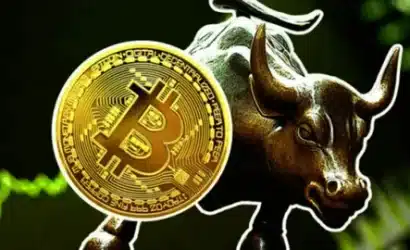 bitcoin, 2024'te boğa sinyali mi veriyor? uzmanlar ne diyor?