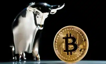 bitcoin boğa döngüsü sona erdi mi? cryptoquant ceo'sundan çarpıcı değerlendirme!