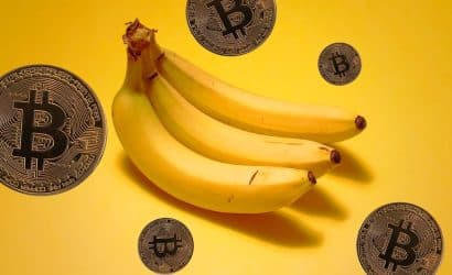 bitcoin'in 'muz bölgesi' rallisi devam ediyor: analistler düzeltmelere rağmen yükseliş bekliyor!