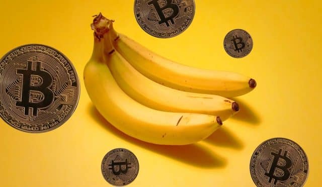 Bitcoin'in 'Muz Bölgesi' Rallisi Devam Ediyor: Analistler Düzeltmelere Rağmen Yükseliş Bekliyor! 14 bitcoin'in 'muz bölgesi' rallisi devam ediyor: analistler düzeltmelere rağmen yükseliş bekliyor!