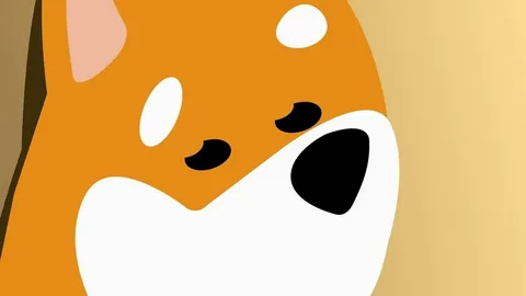 İki Güçlü Memecoin İçin Yeni Ralli Beklentisi: Analistten Yükseliş Tahmini!