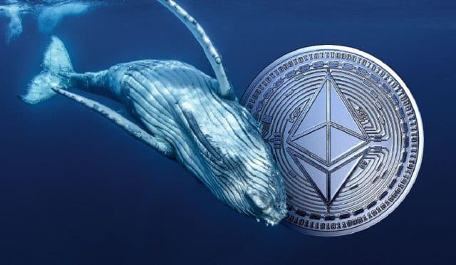 Büyük Balina, Bitgo ve Galaxy’den 456,8 Milyon Dolarlık Ethereum Alımı!