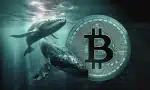 bitcoin balinası 11,4 milyar dolarlık btc’yi satıp hyperliquid üzerinden ethereum’a yöneldi!