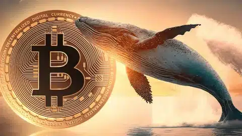 12 Yıllık Bitcoin OG Balinası 343 BTC’yi Kraken’a Gönderdi: 1.368 Katlık Değer Artışı!
