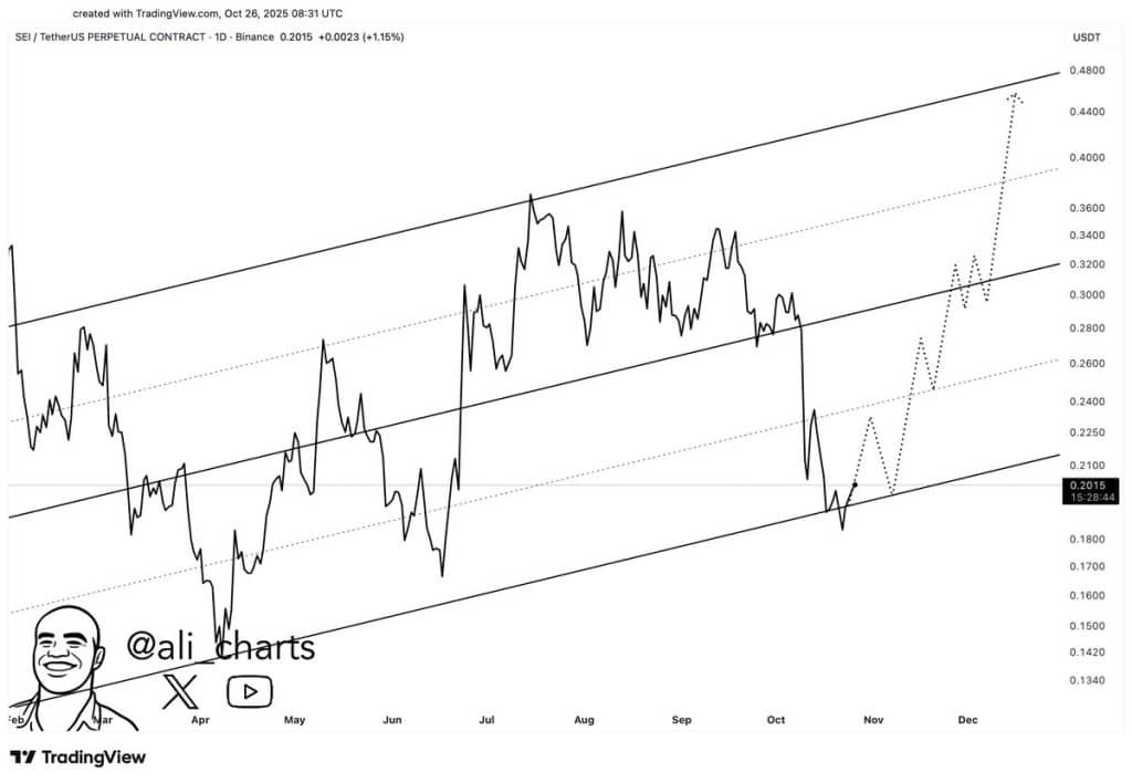 Kripto Analisti, NFT Altcoin’inde Yükseliş Bekliyor: XRP ve Sei İçin Kritik Seviyeleri Açıkladı! 2 kripto analisti, nft altcoin’inde yükseliş bekliyor: xrp ve sei i̇çin kritik seviyeleri açıkladı!